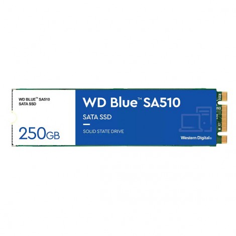 Ổ cứng SSD 250GB M2 2280 SATA SA510 Western Digital Blue WDS250G3B0B