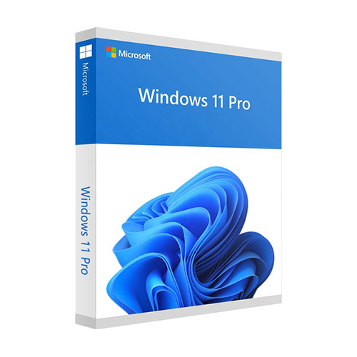 Phần mềm Windows 11 Pro 64-bit All Language PK Lic Online DwnLd NR FQC-10572_ 0822D